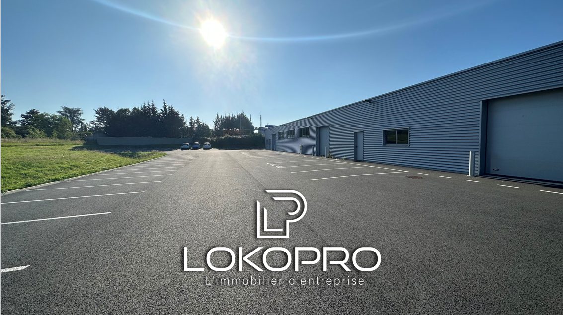 Local artisanal – LP186-LOKOPRO