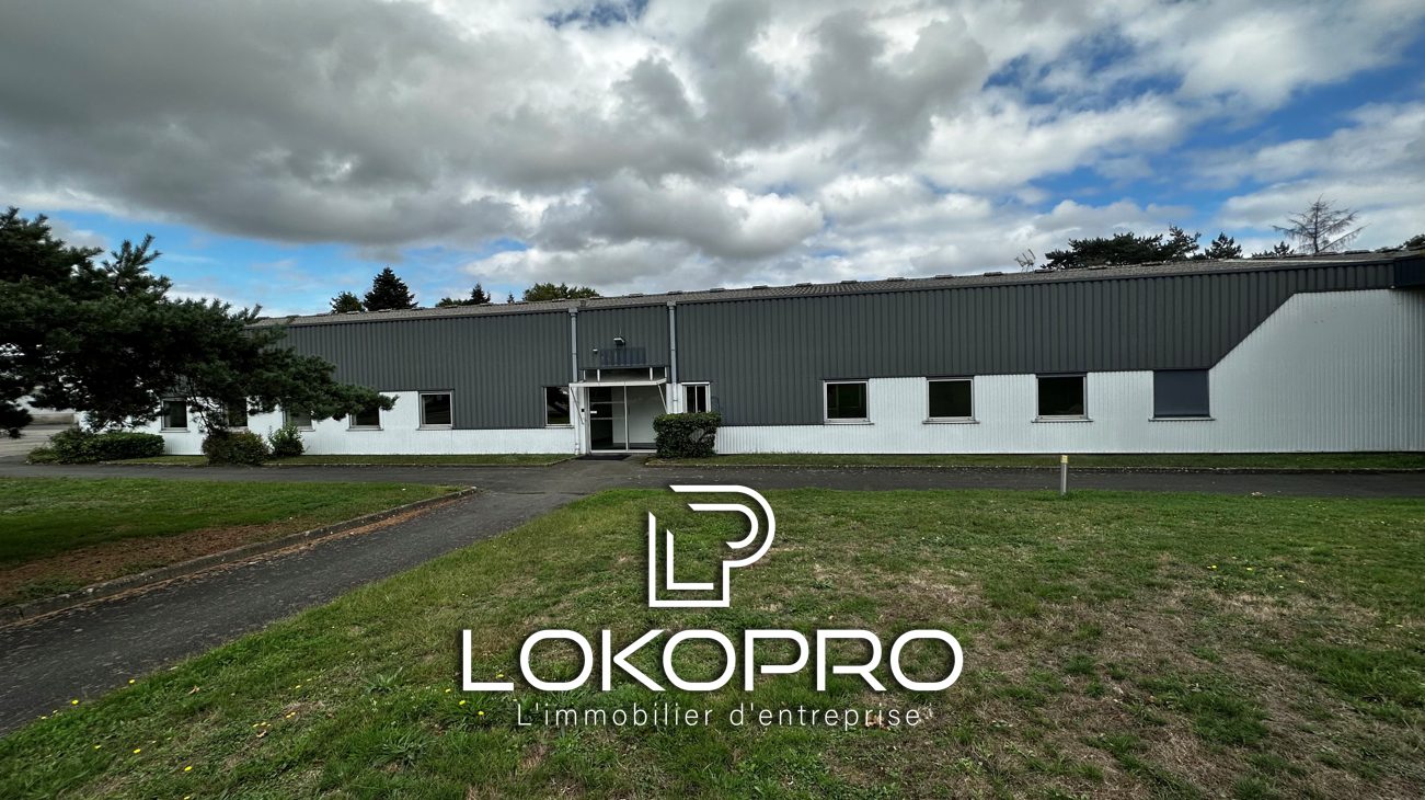 Local d’activité – LP295-LOKOPRO