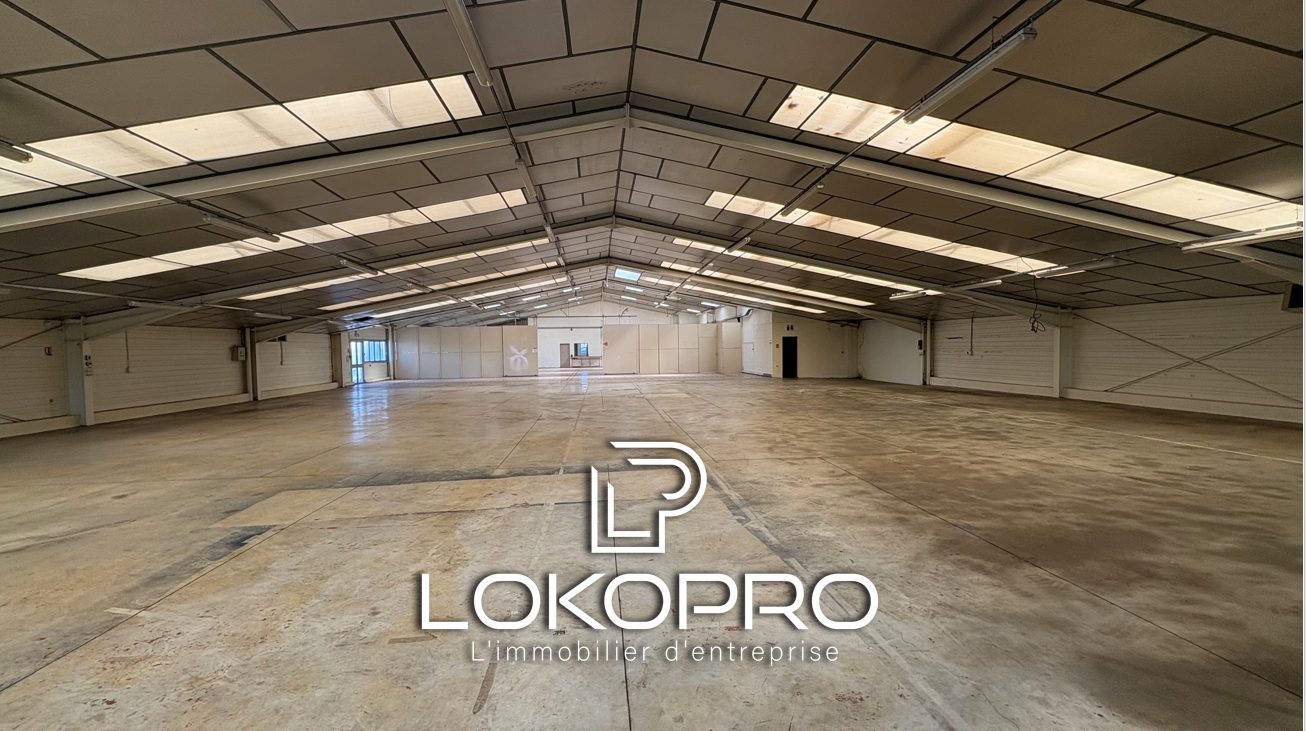 Local professionel – LP277-LOKOPRO