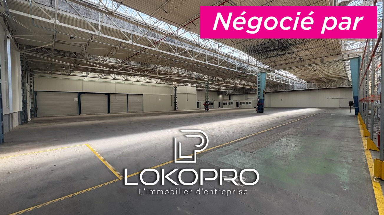 Local commercial – LP307-LOKOPRO