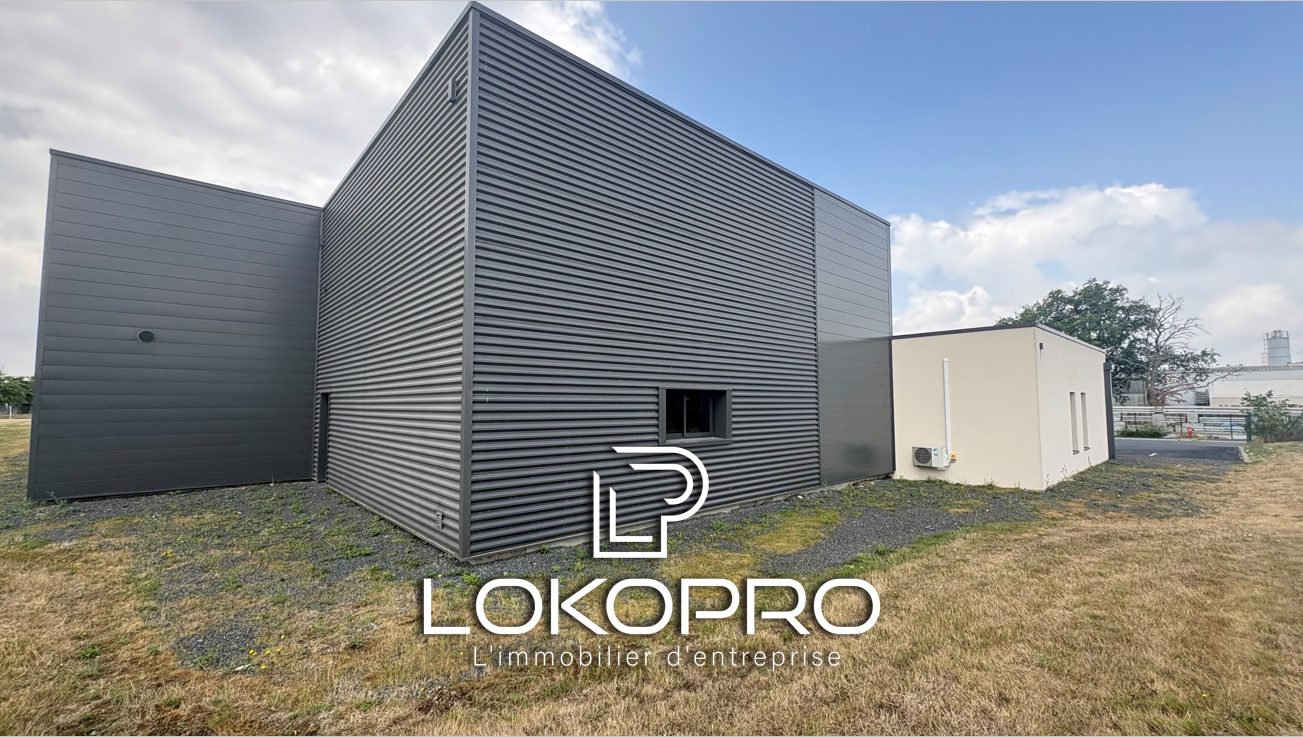 Local professionel – LP317-LOKOPRO