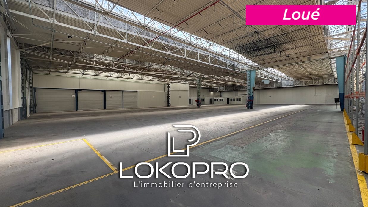 Local commercial – LP307-LOKOPRO