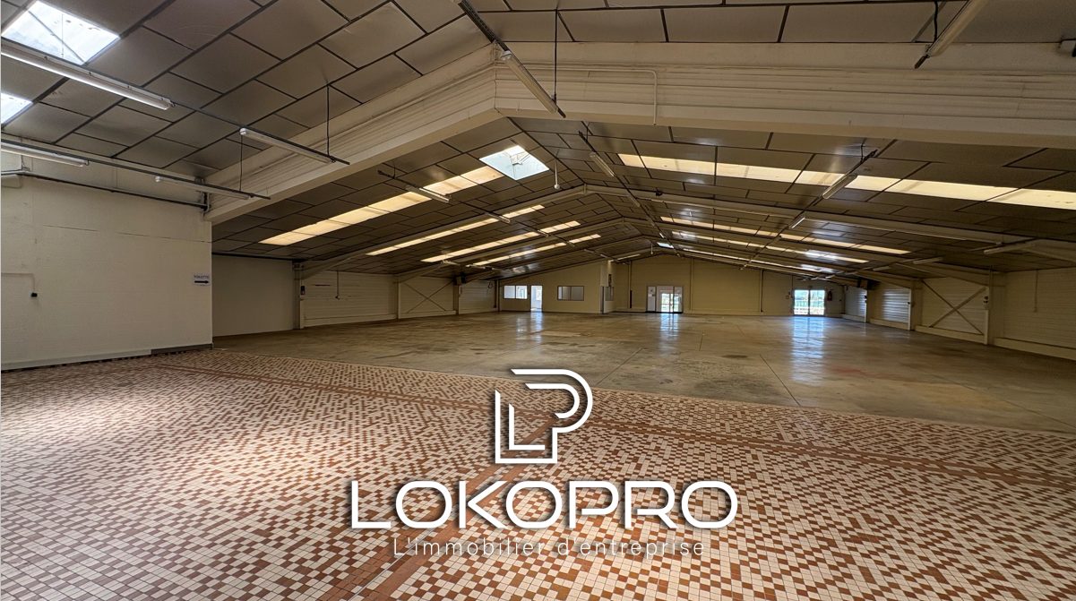 Local professionel – VP343-LOKOPRO