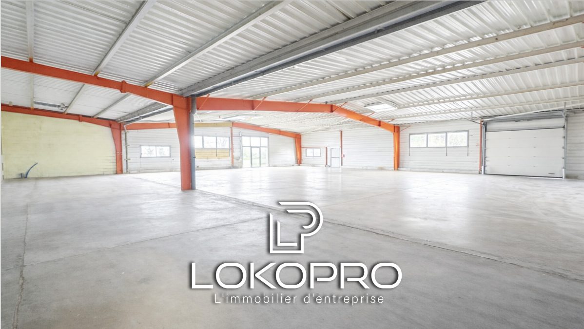 Local artisanal – LP186-LOKOPRO