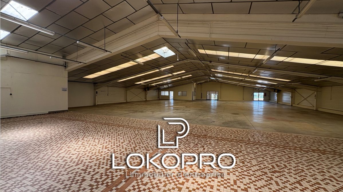 Local professionel – LP277-LOKOPRO