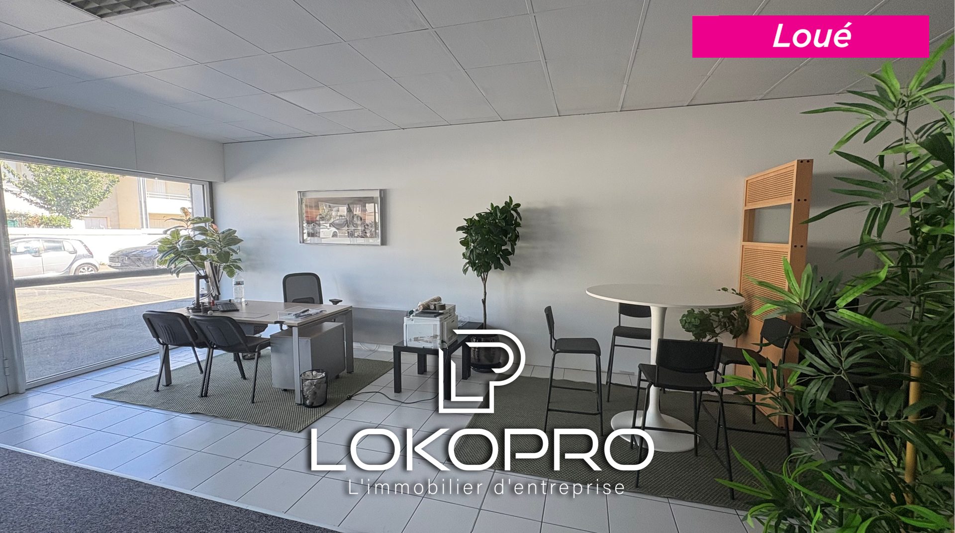 Local commercial – LP312-LOKOPRO