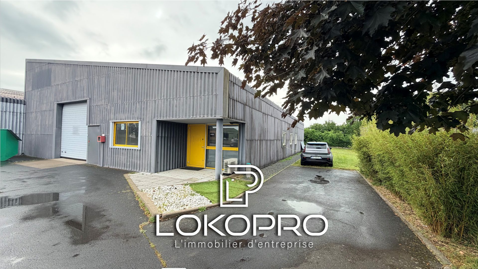 Local professionnel – LP433-LOKOPRO
