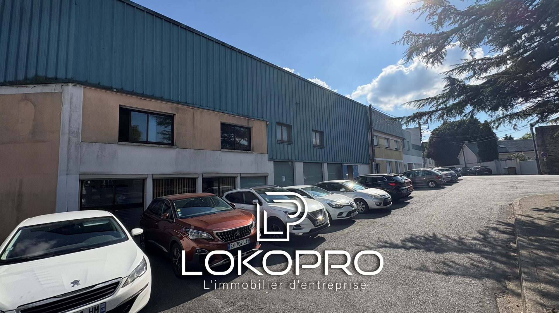 Local professionnel – LP438-LOKOPRO